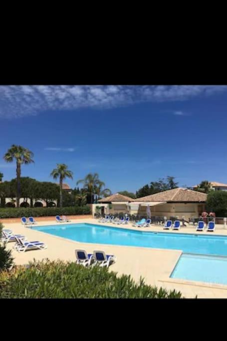 une grande piscine avec des chaises longues dans l'établissement Appartement dans résidence, à Linguizzetta