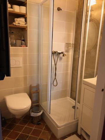 a bathroom with a shower and a toilet at Manoir de Pimelles-Bourgogne-Chablis-2h15 Paris 