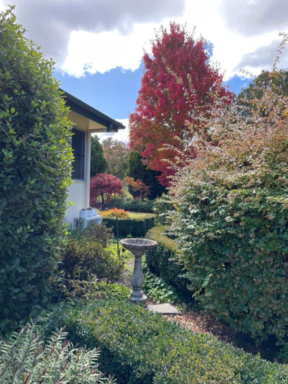 a bird bath in the middle of a garden at Lynrose Place in Stanthorpe