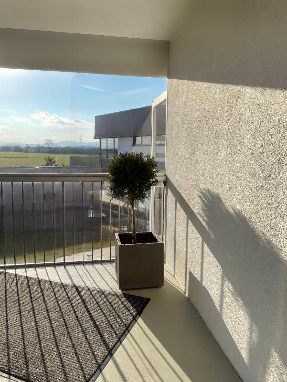 Balkón nebo terasa v ubytování Hotel Caldor - 24h self-check in