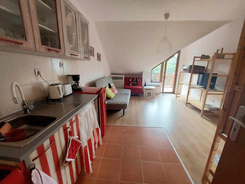 a kitchen with a sink and a living room at Art Studio Borovets Semiramida in Borovets