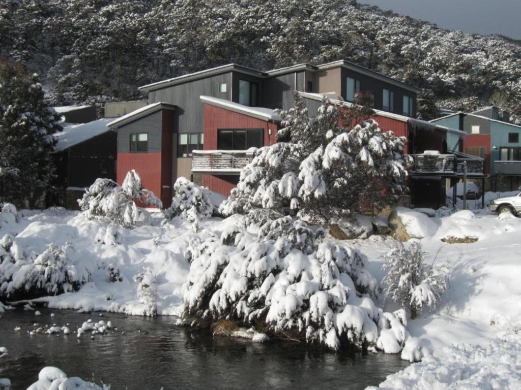 a snow covered tree in front of a building at Angala 2 in Thredbo