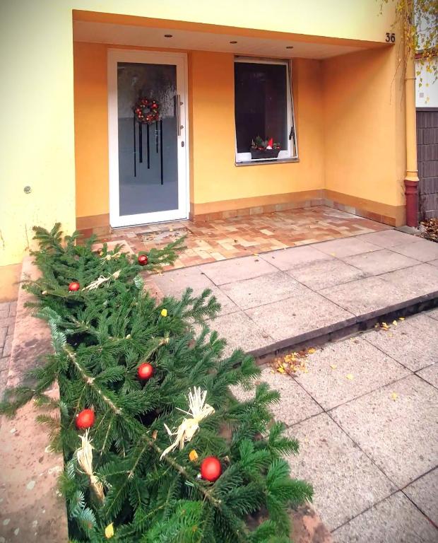 Maison 140m2 au calme - Beau jardin - à 15mn à pied du Centre-ville de COLMAR – photo 21