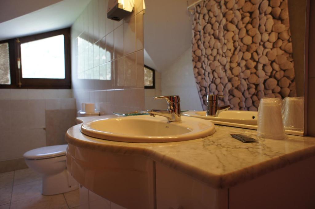 un bagno con lavandino e WC di Hotel La Planada a Ordino
