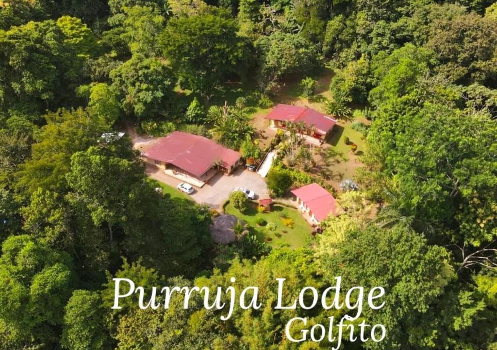 an aerial view of a house in a forest at La Purruja Lodge in Golfito