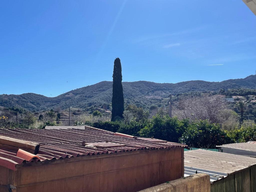 un toit carrelé d'une maison avec un arbre en arrière-plan dans l'établissement Studio calme avec terrasse, proche centre-ville et plage, parking privé - FR-1-309-421, à Banyuls-sur-Mer
