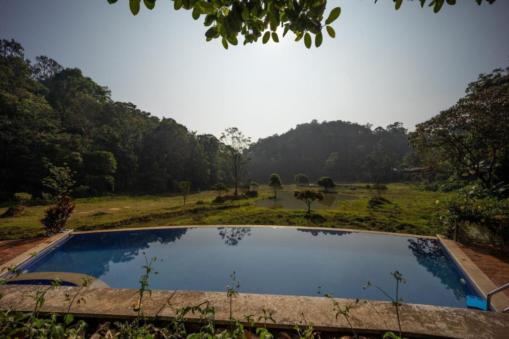 Πισίνα στο ή κοντά στο Three Hills Resort Coorg