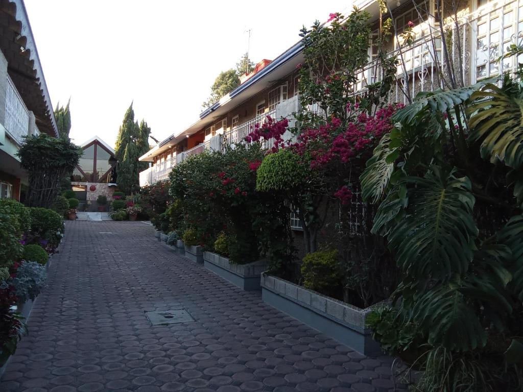una strada di ciottoli con piante sul lato di un edificio di Villa Cholula a Cholula