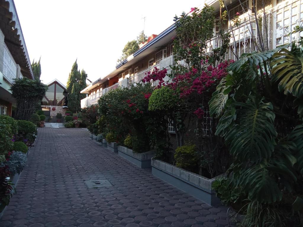 Gallery image of Villa Cholula in Cholula