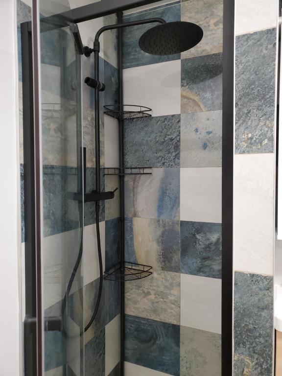 a shower with a glass door at Harmonie in Monteux