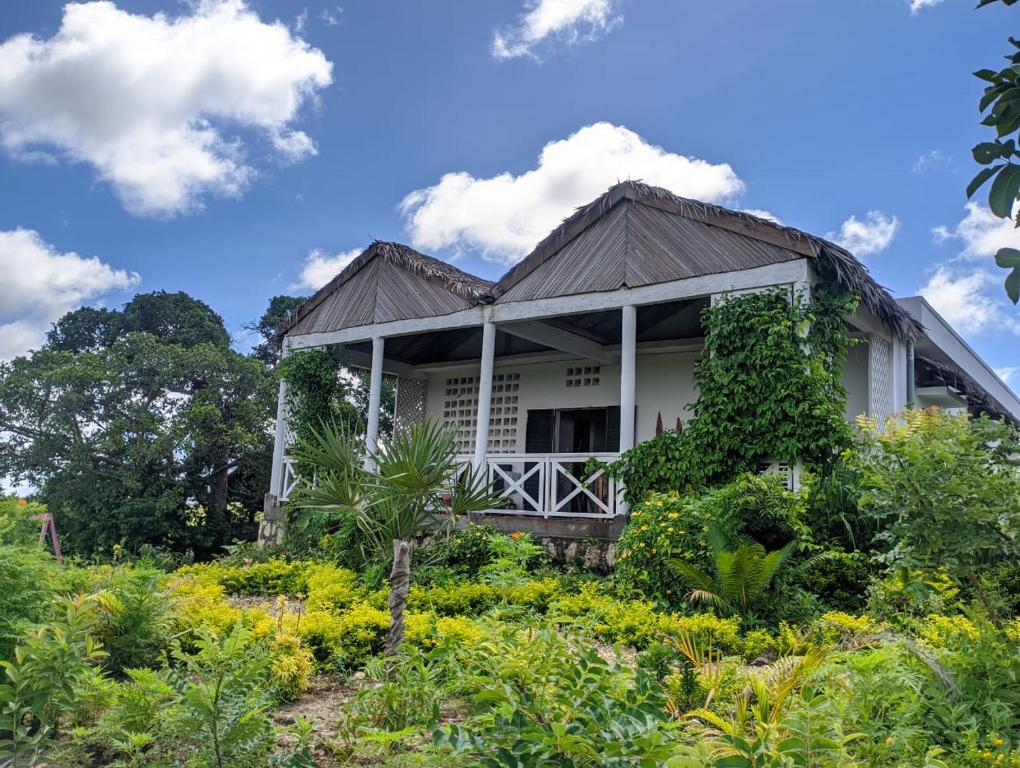 een huis midden in een tuin bij La maison d'hôte de la Forêt Retrouvée in Mahajanga