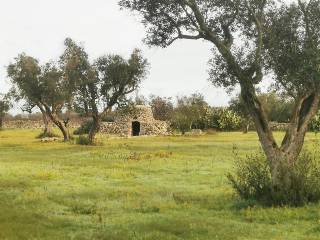 un antiguo edificio de piedra en un campo con árboles en Villa Mios, en Muro Leccese