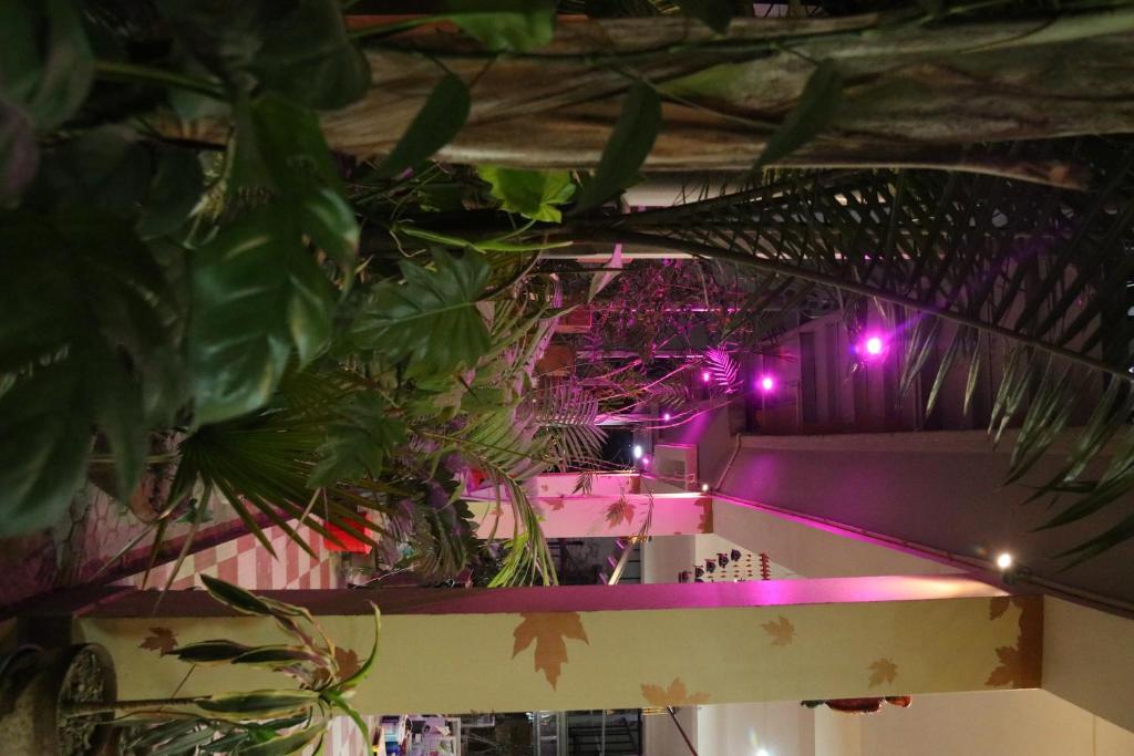 Fotografie z fotogalerie ubytování The Elite Apartment Hotel v destinaci Kalkata