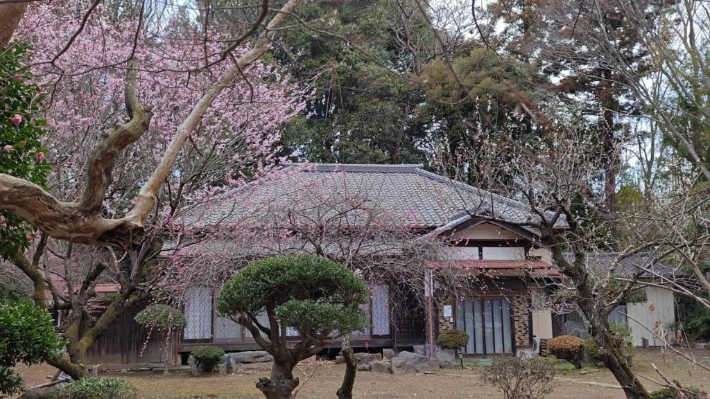 a house with pink flowering trees in front of it at Glamp House HANANOMORI - Vacation STAY 12585 in Yotsukaidō