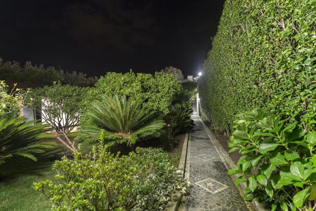 Zahrada ubytování Quinta das Rosas Villas