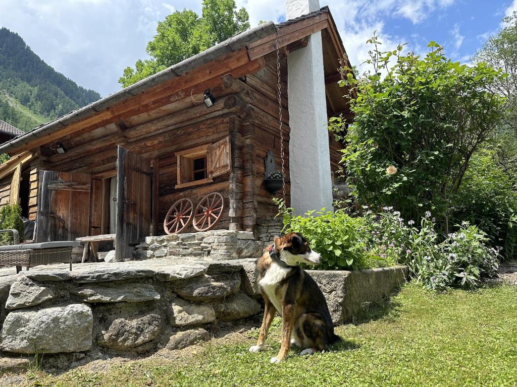 a dog sitting in front of a log cabin at Romantikchalet in Flattach