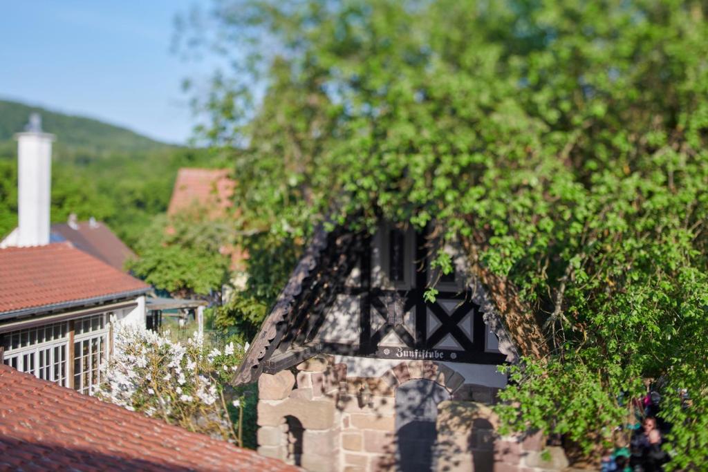 Nespecifikovaný výhled na hory nebo výhled na hory při pohledu z hotelu