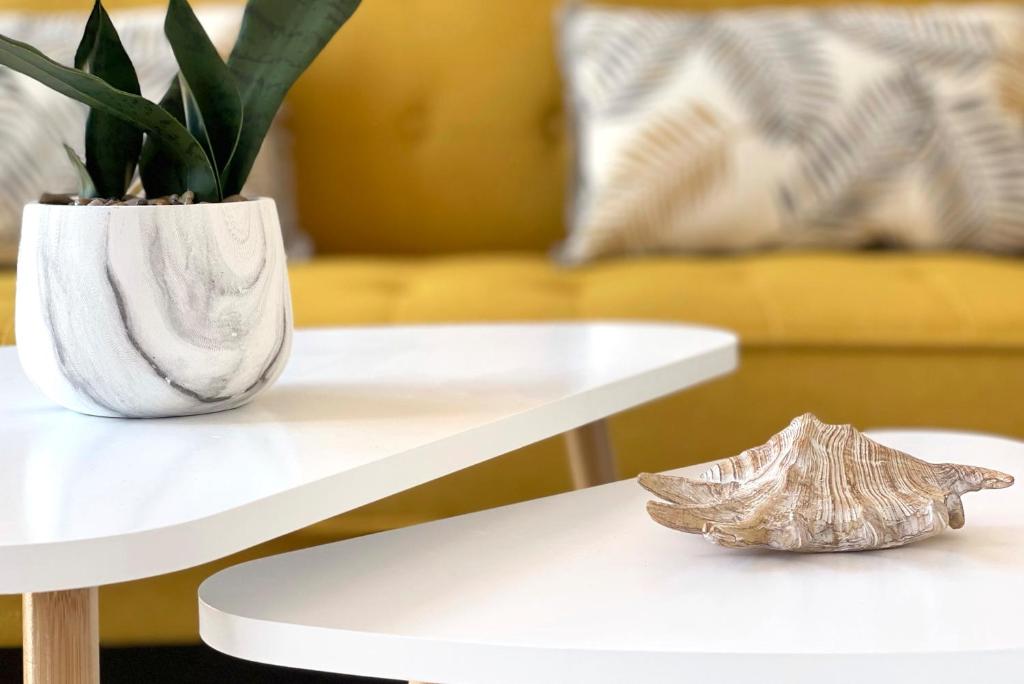 two white tables with a plant on top of them at Apartamentos Vela Blanca in San José