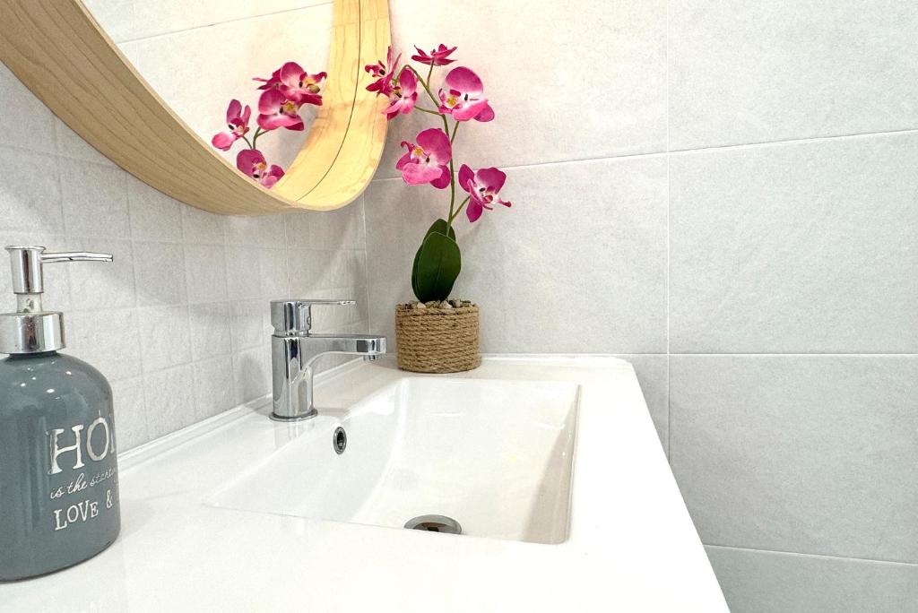 a bathroom sink with a bottle of soap and a plant at Apartamentos Vela Blanca in San José