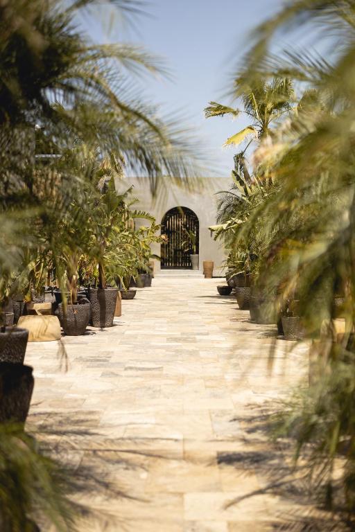 a walkway with palm trees in front of a gate at @before sunset in Cesme