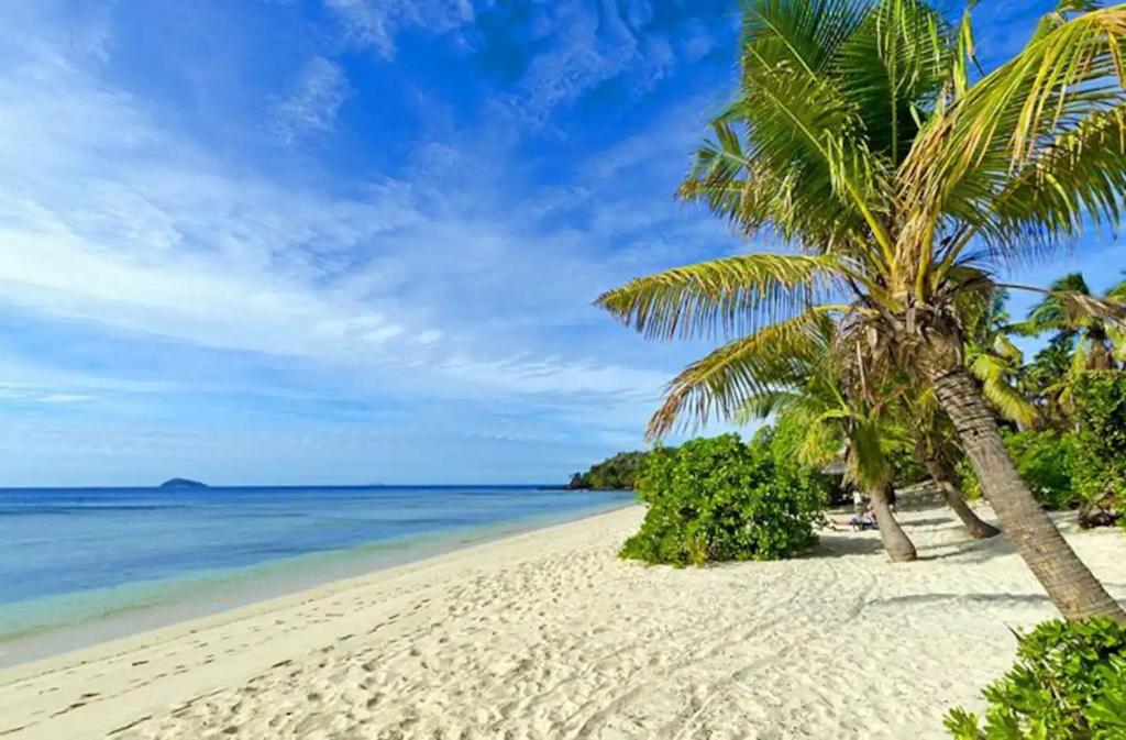 una playa con palmeras y el océano en Gold Coast Inn - Adults Only, en Nanuya Lailai