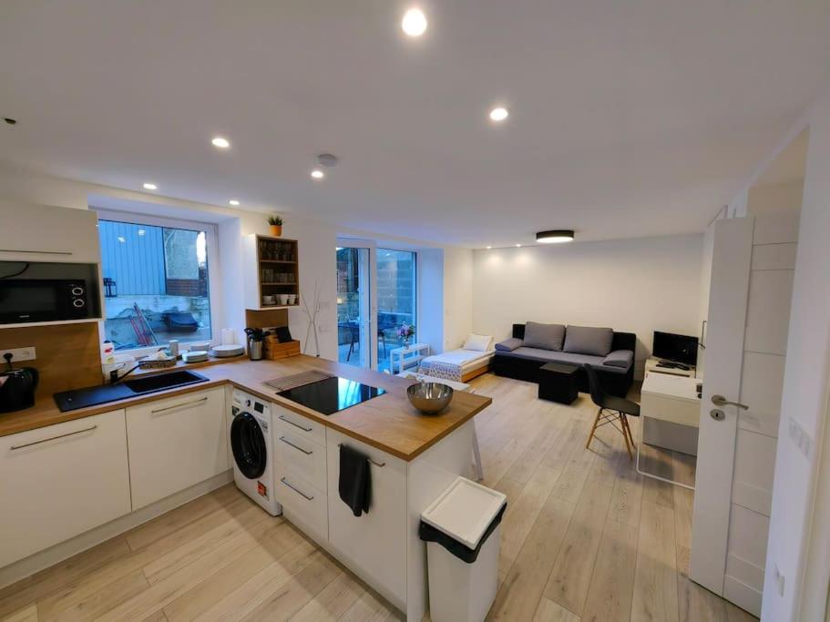 Haas Apartments Slepa, city centre, parking, courtyard في برنو: مطبخ كبير وغرفة معيشة مع أريكة