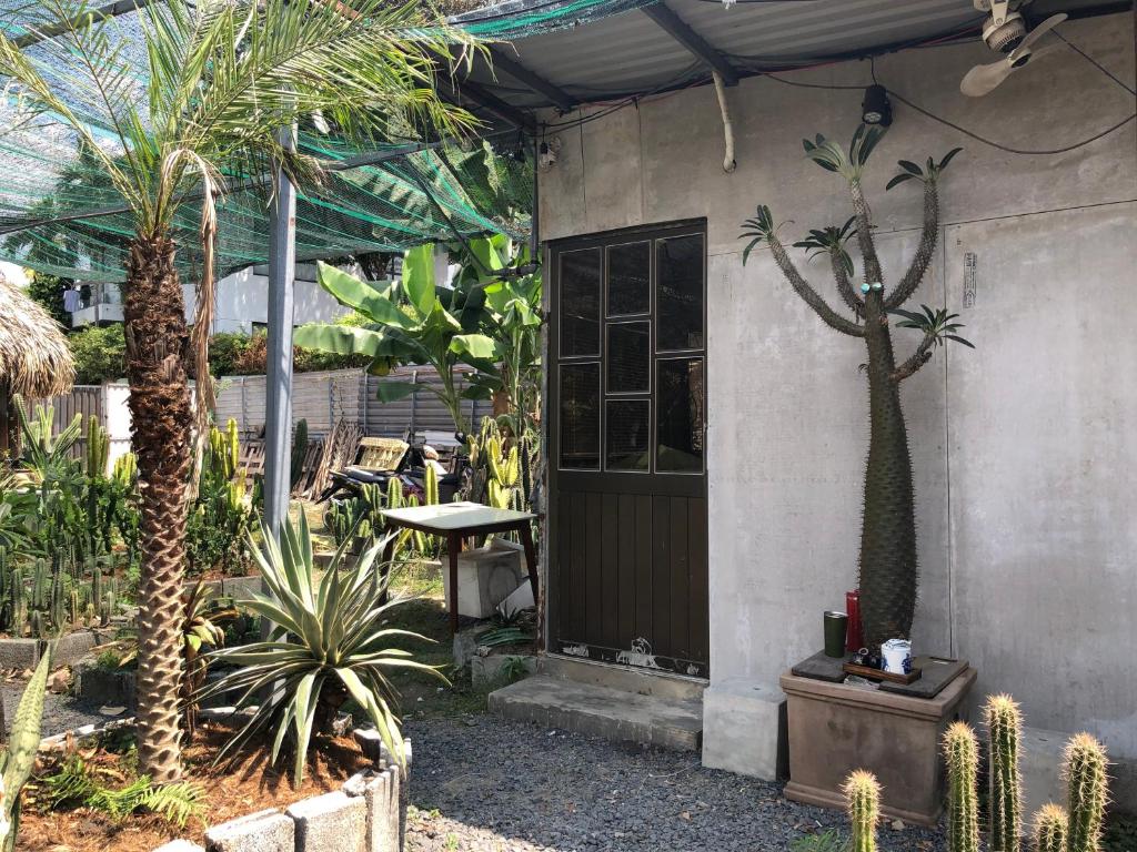 a garden with palm trees and a building with a door at Cactos Bar & Homestay in Ho Chi Minh City
