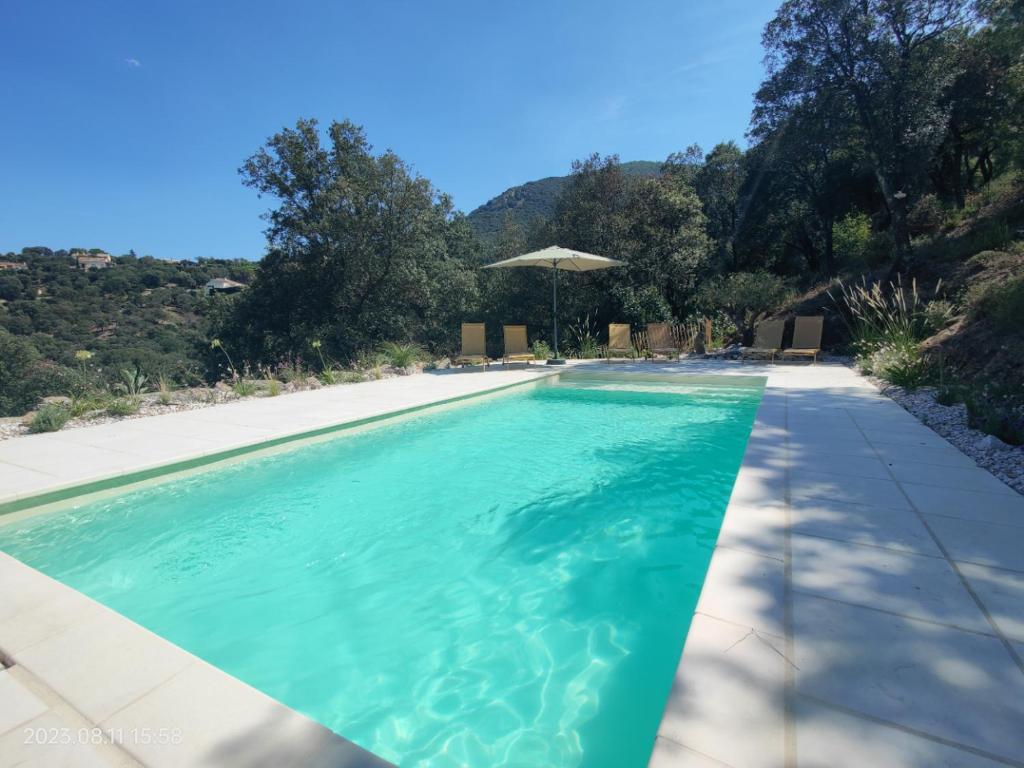 uma piscina com água azul e um guarda-sol em les gîtes du Mas ANNA em Céret