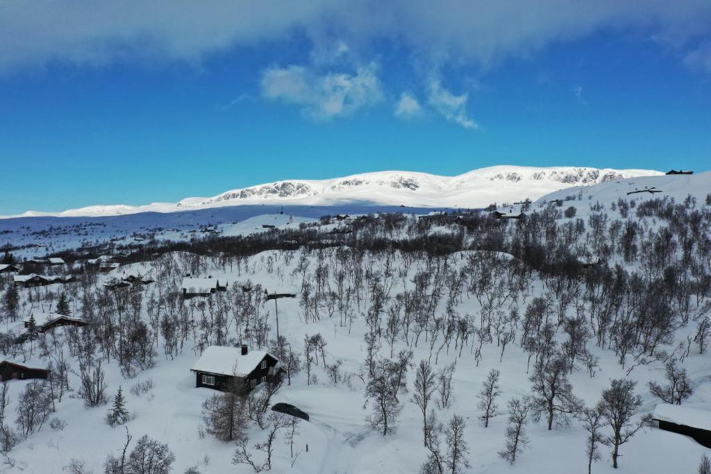 uma cabana na neve com árvores e montanhas em Granebo - Ustaoset em Ustaoset