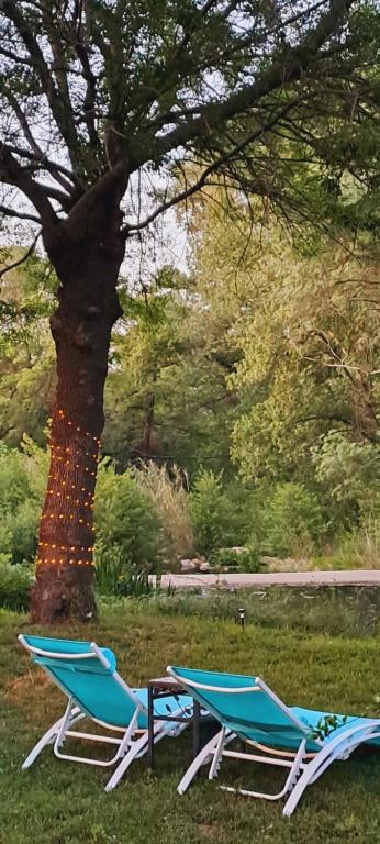 Gite Florence near Saint Chinian Private Pool & River Garden - Housity