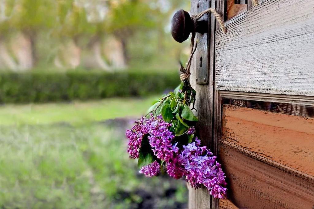 un montón de flores púrpuras colgando de una puerta de madera en Lillac Cottage en Ancona