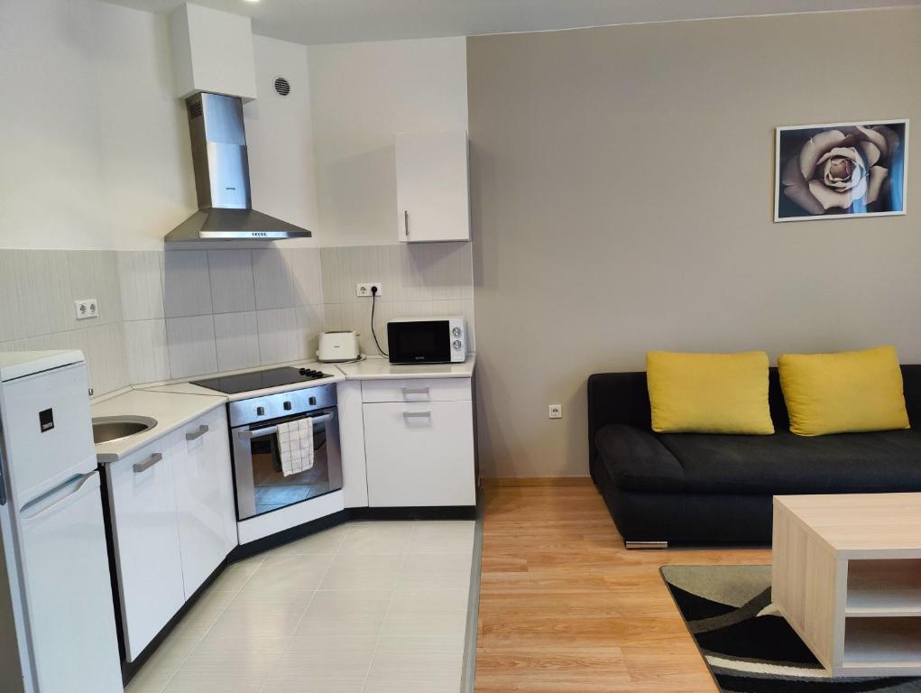 Kuchyňa alebo kuchynka v ubytovaní Corvin Plaza Apartments & Suites