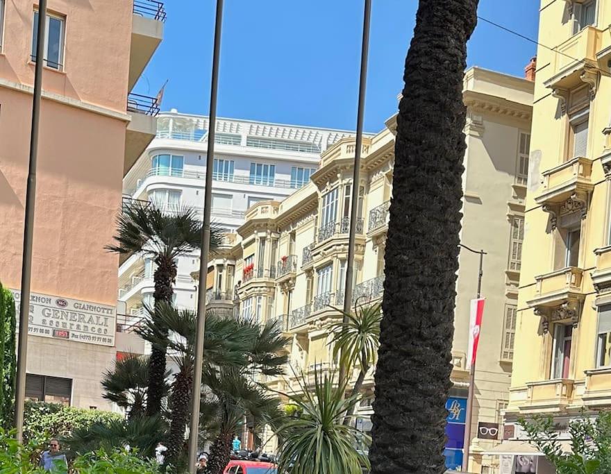 una palmera frente a un edificio en Cozy apartment in Monaco center, en Montecarlo