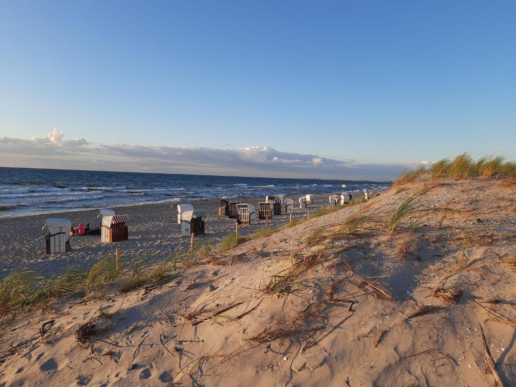 uma praia com um monte de cadeiras na areia em Eikkater 4 EG em Graal-Müritz