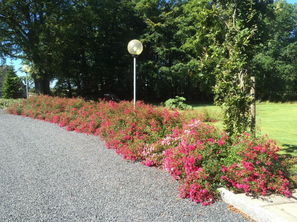 una fila de flores a un lado de una carretera en Kratgaardens Apartment, en Herning