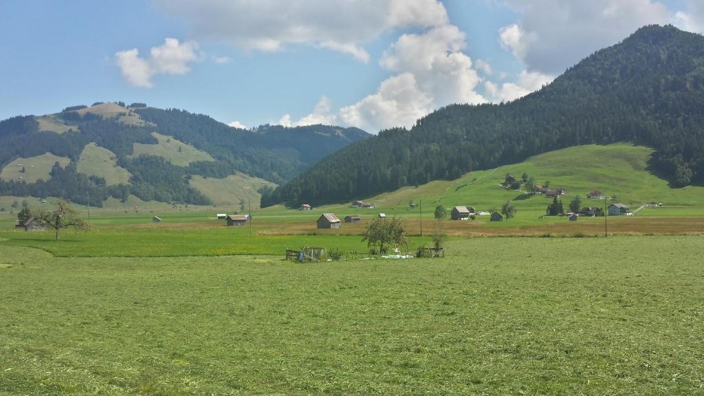 Příroda nedaleko hotelu