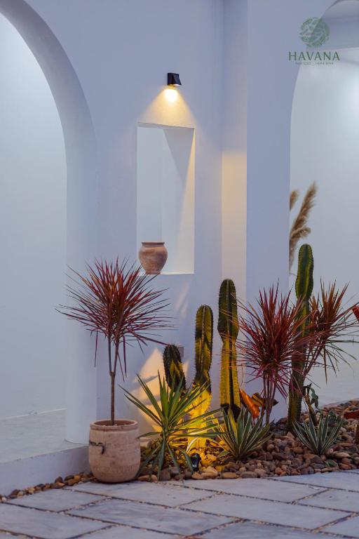 Havana Tam Coc Ninh Binh - 16