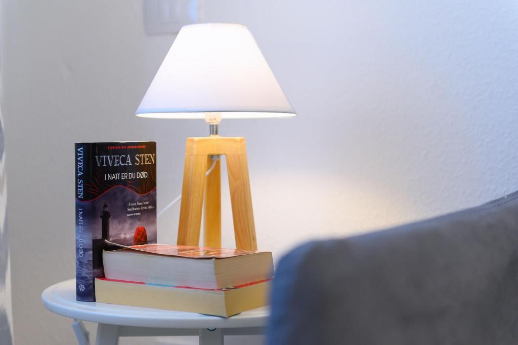 Knihovna v apartmánu