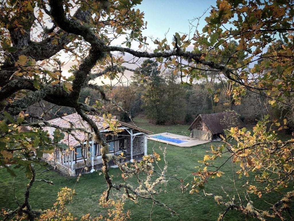 a house with a swimming pool in a yard at Magnifique ferme landaise 12 couchages in Allons