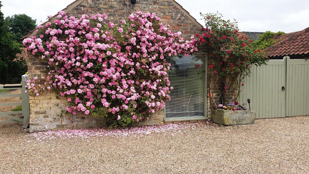 a bush of pink flowers on the side of a building at Charming Country Retreat in Lincoln