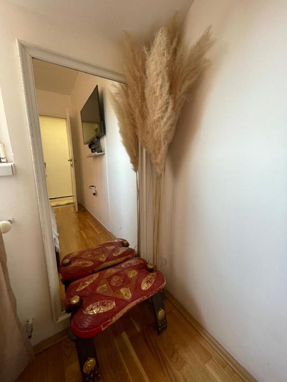 Fotografie z fotogalerie ubytování Charme apartman v destinaci Kruševac