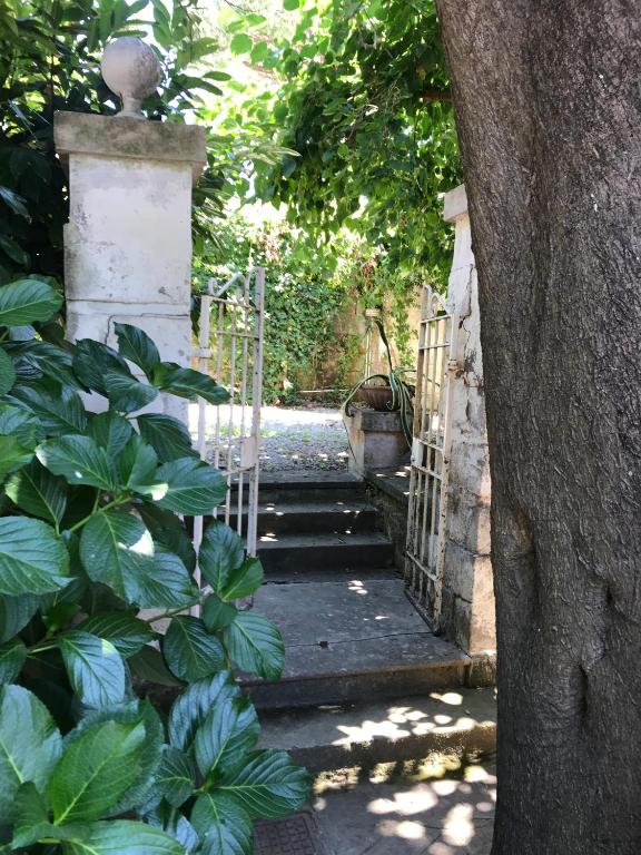 Vonkajšia záhrada v ubytovaní Villa Falconieri Sorrento Suite