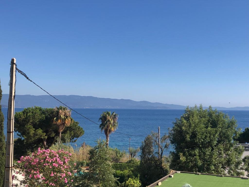 - une vue sur l'océan et un palmier dans l'établissement Ajaccio appartement 4 couchages, climatisé a 150m de la plage route des sanguinaires, parking privé, à Ajaccio