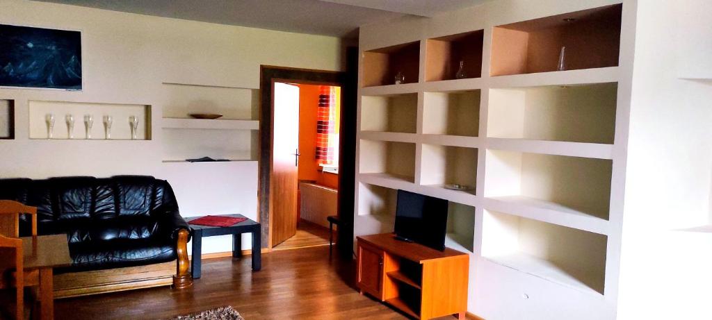 a living room with a couch and a book shelf at Śpioszek in Stronie Śląskie