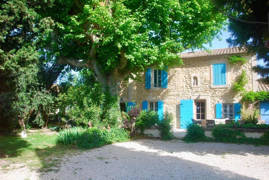 ein Steinhaus mit blauen Fenstern und einem Baum in der Unterkunft Superbe mas proche centre-ville in Salon-de-Provence