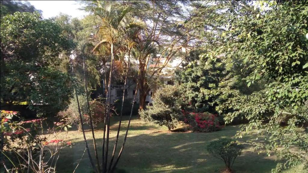 a garden with palm trees and plants in a yard at Studio eden in Nairobi
