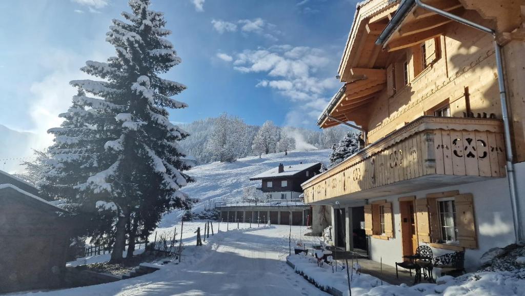 Large deluxe studio for 2 - Chalet Lovo v zimě