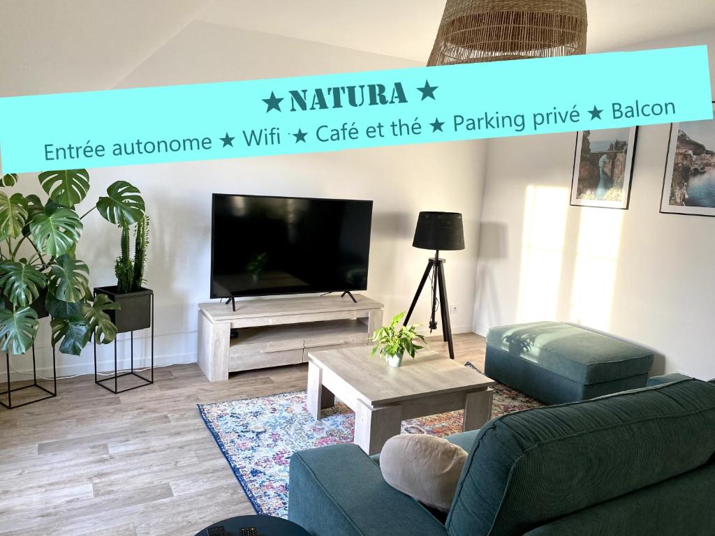 - un salon avec un canapé et une télévision dans l'établissement Appartement NATURA 2 chambres, à Vitré