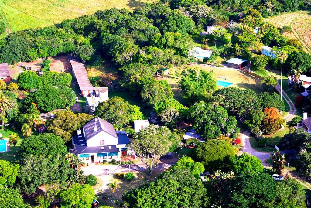 z góry widok na dom w lesie w obiekcie Woodbourne Resort w mieście Knysna