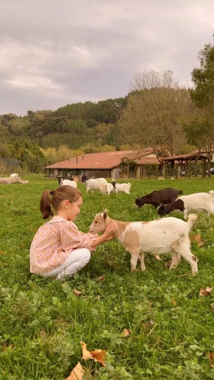 Casa Rural Jesuskoa - 7